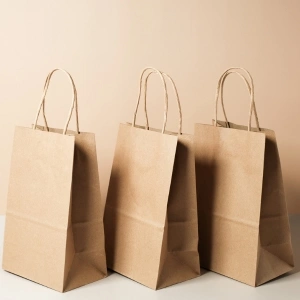 Paper Bag